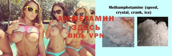 шишки Абаза