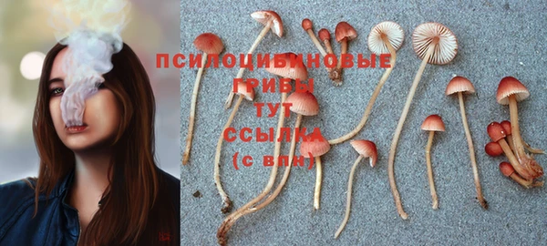 MDMA Абдулино