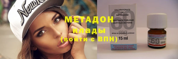 шишки Абаза
