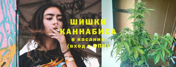 шишки Абаза