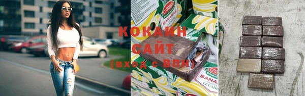 шишки Абаза